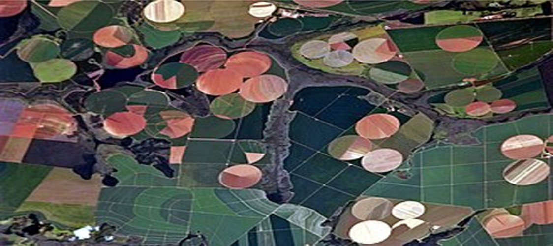 Agriculture in Brazil